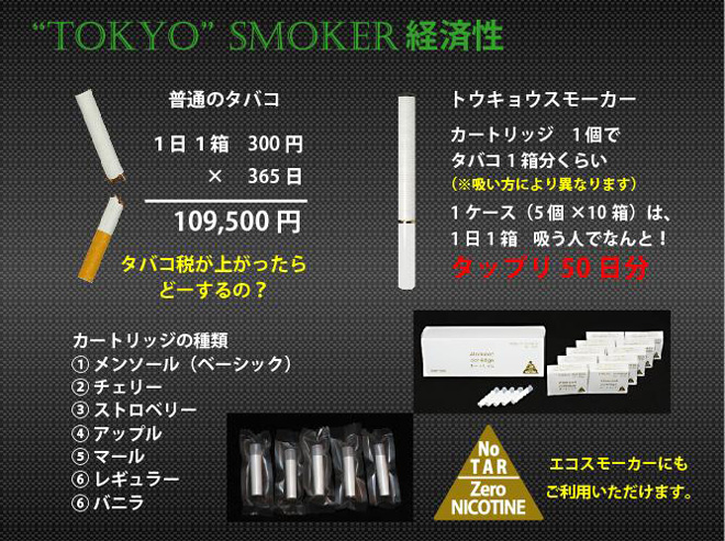 エコスモーカー スターターセット ECO Smoker 通販